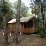 deluxe cabin accommodation 1770, agnes water