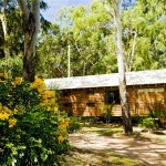 deluxe cabin accommodation 1770, agnes water
